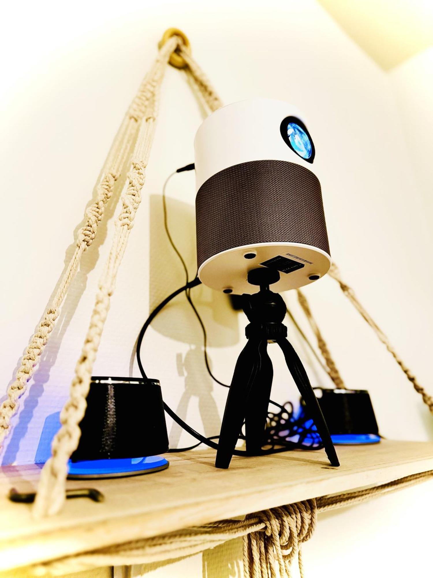 Le Petit Cine - Gare - Smartloc Immo *
